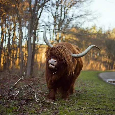 Tussen Duin En By Droomvilla Hébergement de vacances Egmond aan den Hoef